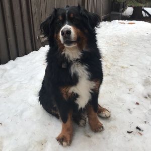 Meet your Posher, Meredith